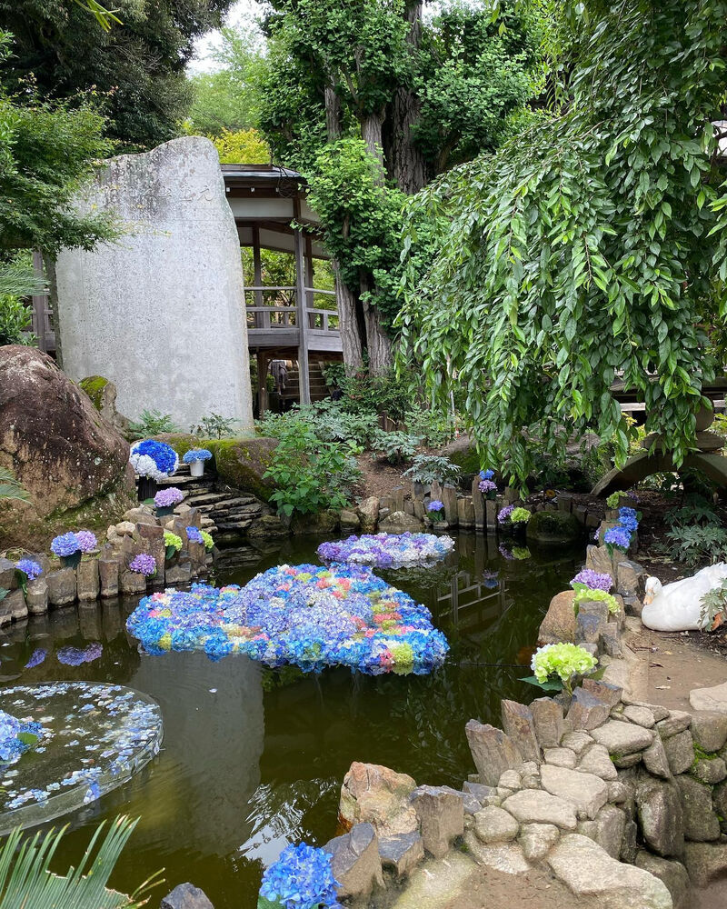 新着情報をはじめ、当社が提供しているサービス・お役立ち情報などを掲載しております。