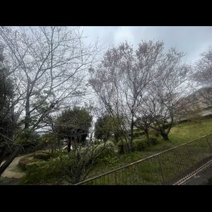当社で取り扱いのある物件の一部をご紹介いたします。