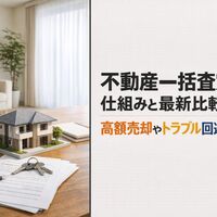 画像6538
